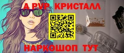 дмт Кингисепп