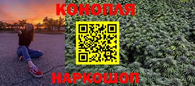 дмт Кингисепп