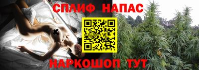 дмт Кингисепп