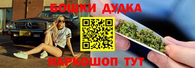 дмт Кингисепп
