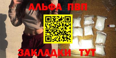 дмт Кингисепп