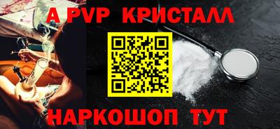 дмт Кингисепп