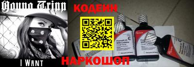 дмт Кингисепп
