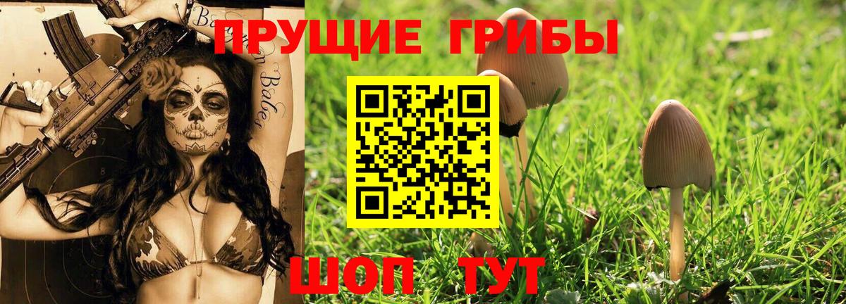 Краснодар  Галлюциногенные грибы MAGIC MUSHROOMS  Вход с VPN 