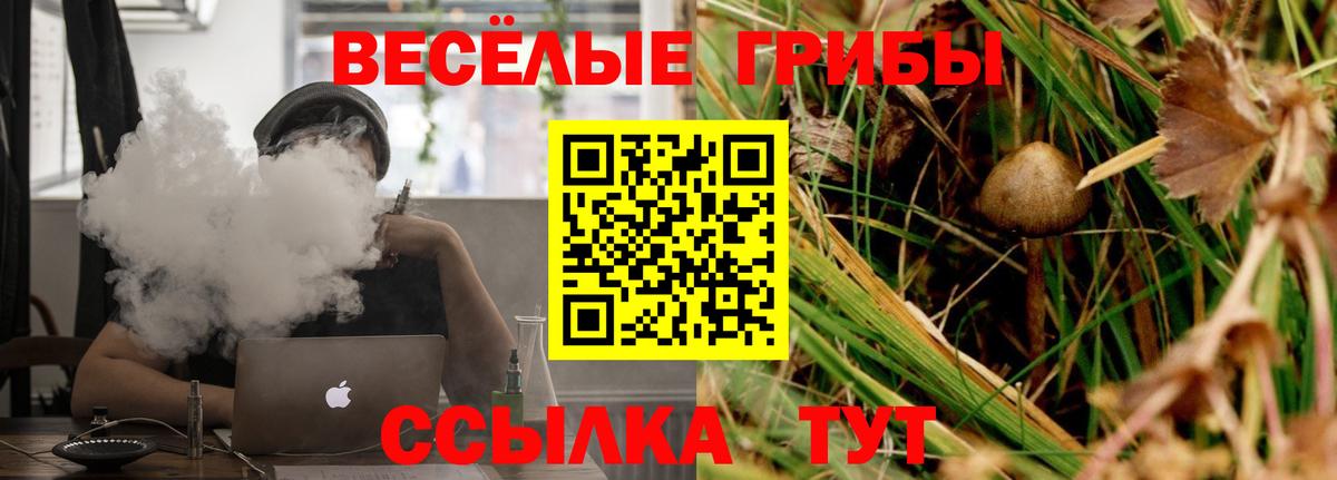 Галлюциногенные грибы Psilocybe Краснодар